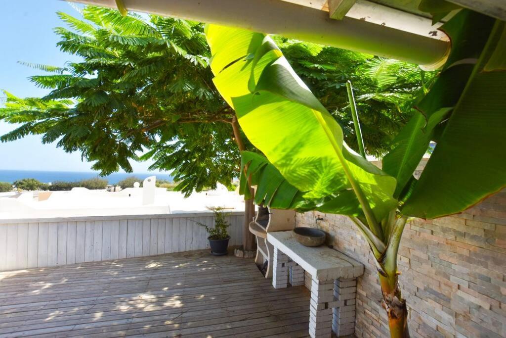 شقة Book Jet - Costa Calma Blue Ocean Dream Terrace المظهر الخارجي الصورة